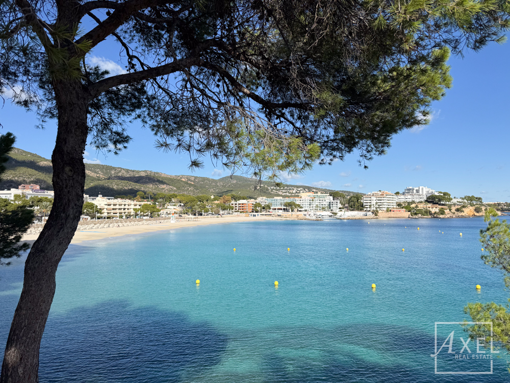 Modernes Küstenliving in Palmanova: Apartment mit Rundum-Meerblick und Dachterrassen-Pool