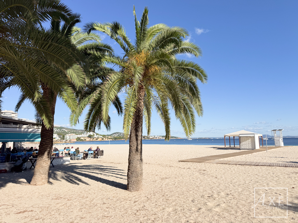 Modernes Küstenliving in Palmanova: Apartment mit Rundum-Meerblick und Dachterrassen-Pool