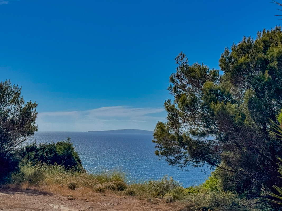 Grundstück in erster Meereslinie in Puig de Ros – Mallorca erleben mit Meerblick und Sonnenuntergang
