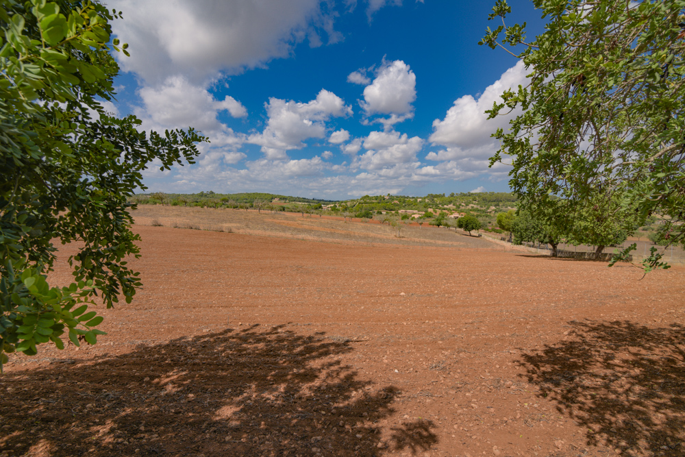 Landhaus mit 52.000qm Land