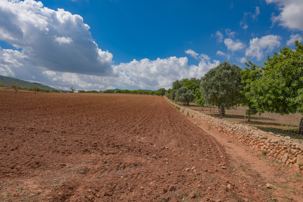 Landhaus mit 52.000qm Land