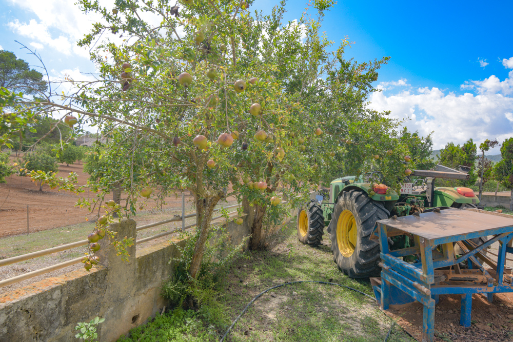 Landhaus mit 52.000qm Land