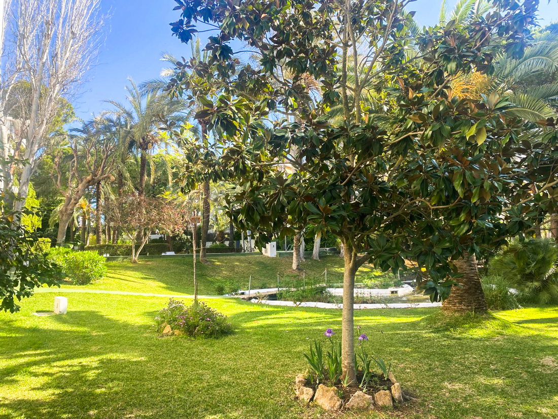 Sonnige Gartenwohnung mit Terrasse und Gemeinschaftspool in bester Lage von Son Armandams