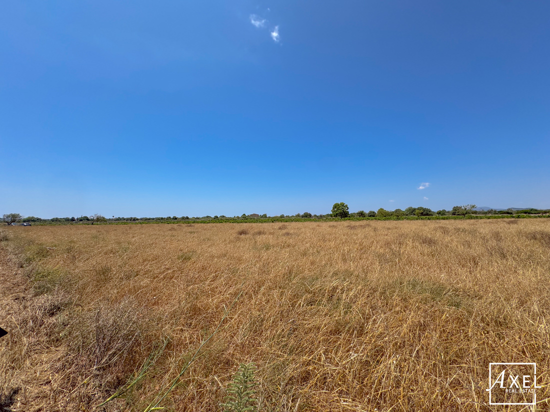 Zwischen Himmel und Erde – Naturgrundstück mit Fernsicht bei Felanitx