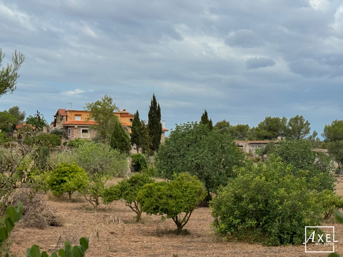 Finca mit Potencial und Weitblick – Natur pur auf 24.000 m²