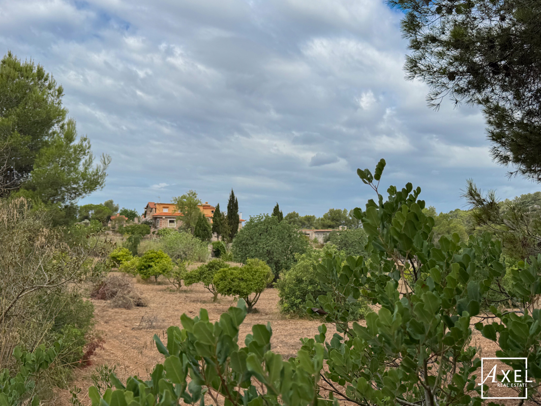 Finca mit Potencial und Weitblick – Natur pur auf 24.000 m²