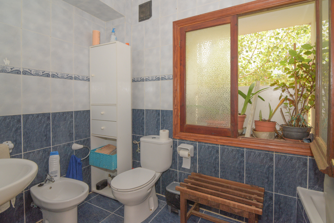 Finca mit Potencial und Weitblick – Natur pur auf 24.000 m²