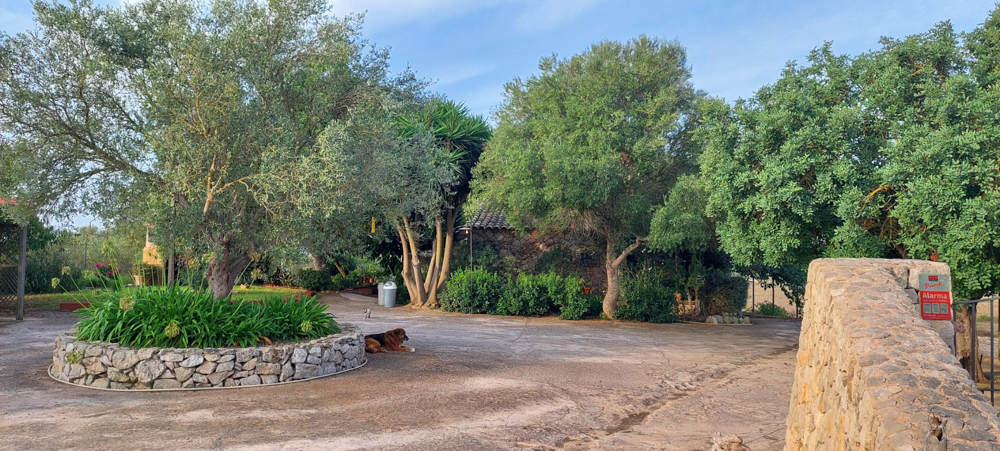 Enchanting country house with guest house, a place where life blossoms – your country house in Mallorca