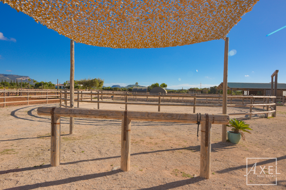 Donde los sueños ecuestres se hacen realidad: tu oasis en el campo