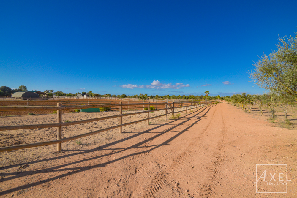 Donde los sueños ecuestres se hacen realidad: tu oasis en el campo