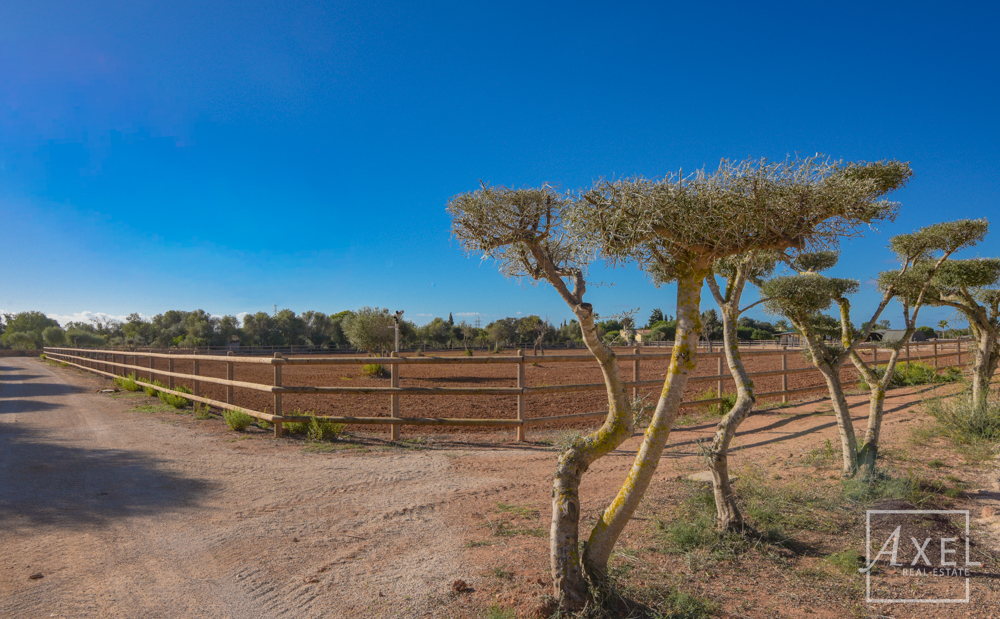 Donde los sueños ecuestres se hacen realidad: tu oasis en el campo