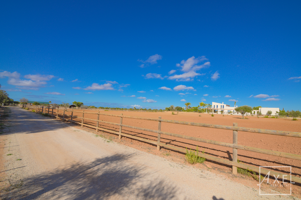 Donde los sueños ecuestres se hacen realidad: tu oasis en el campo