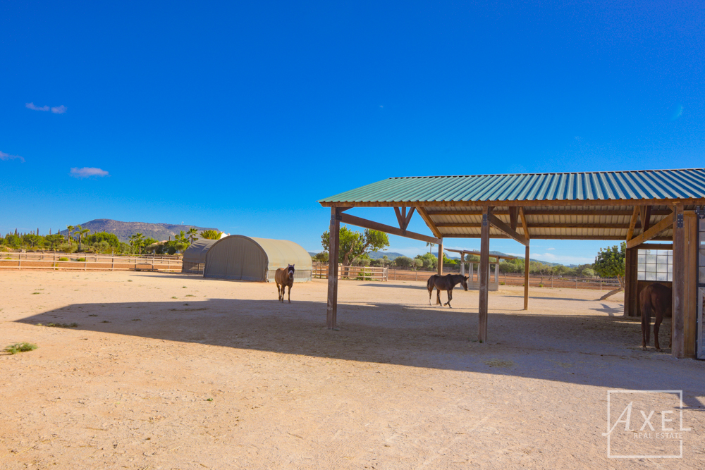 Donde los sueños ecuestres se hacen realidad: tu oasis en el campo