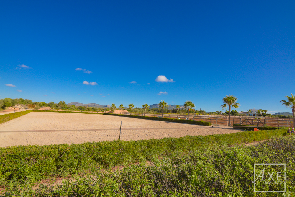 Donde los sueños ecuestres se hacen realidad: tu oasis en el campo