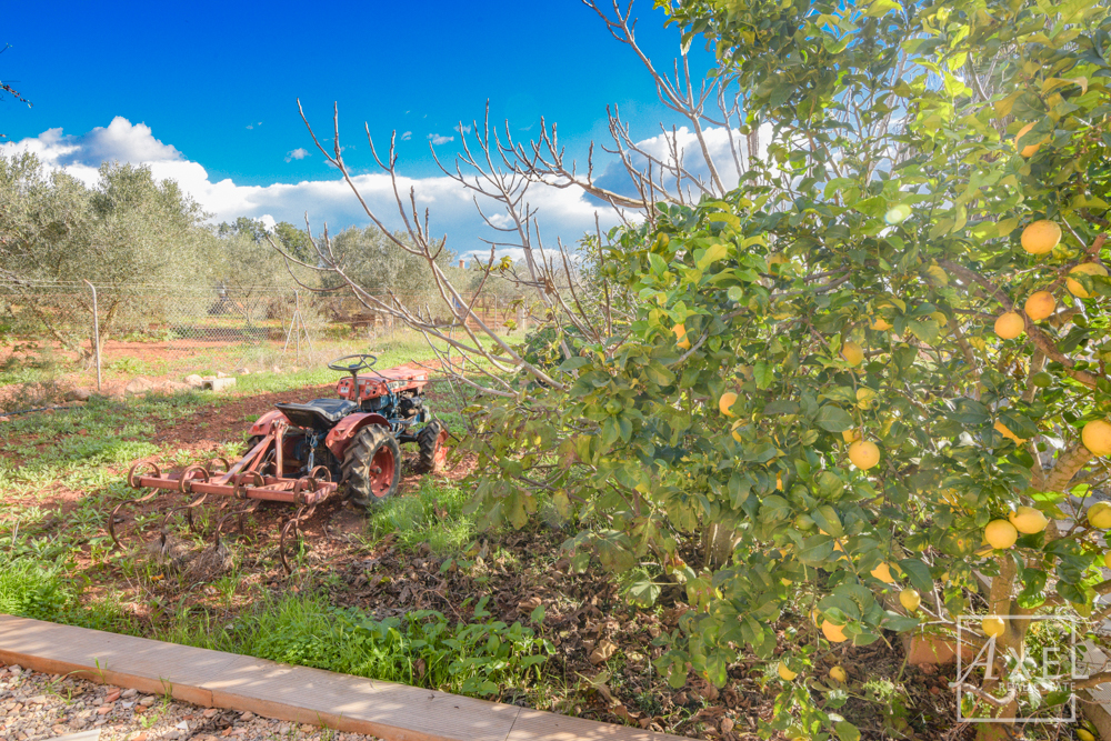 Ihre Traumfinca: Ruhe & höchste Lagequalität