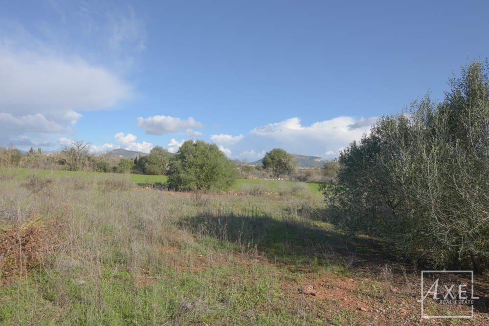 Ihre Traumfinca: Ruhe & höchste Lagequalität
