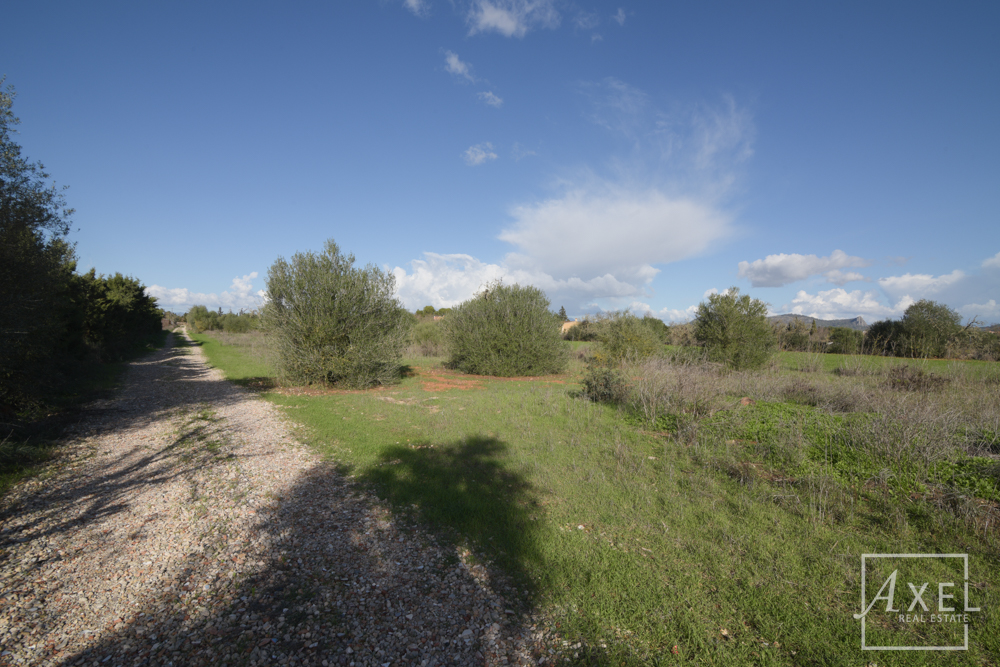 Ihre Traumfinca: Ruhe & höchste Lagequalität