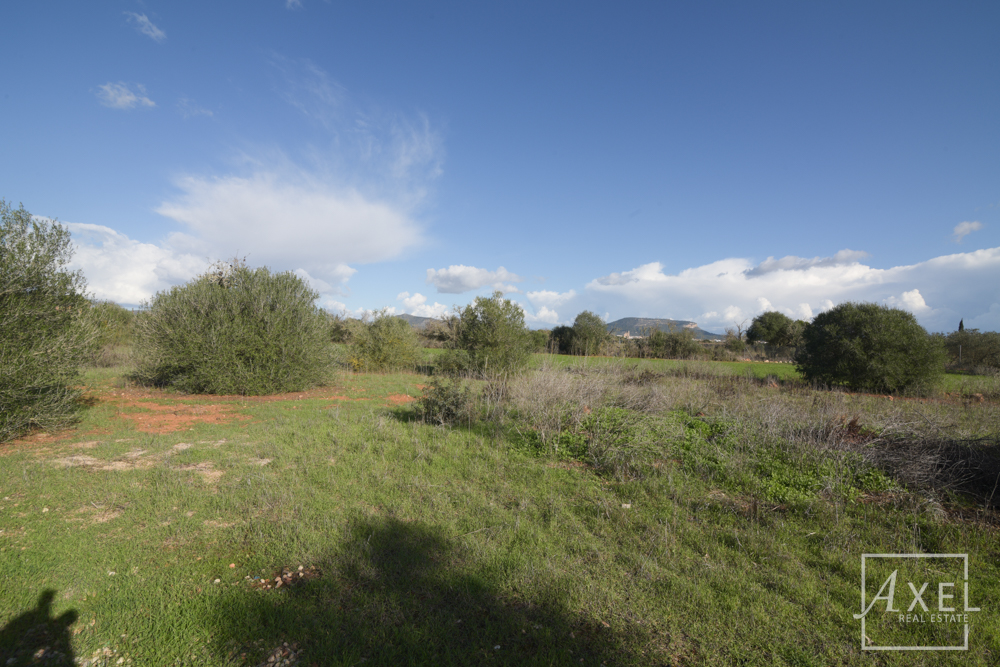 Ihre Traumfinca: Ruhe & höchste Lagequalität