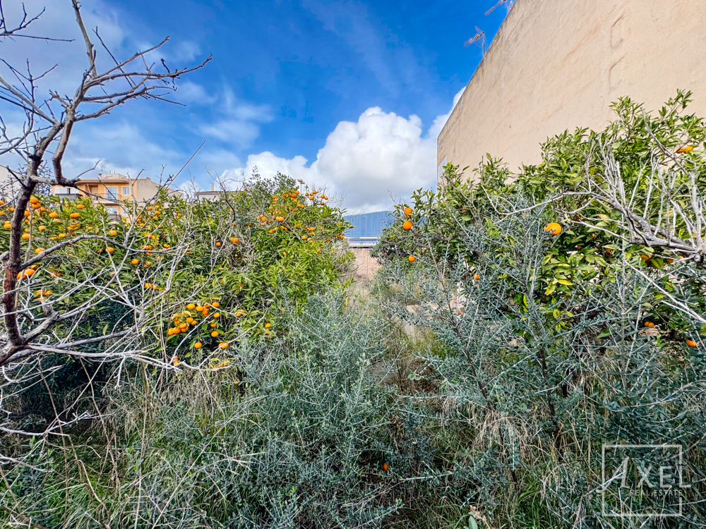 Zentrales Baugrundstück in Llucmajor – 250 m² bebaubar, 3 Etagen möglich