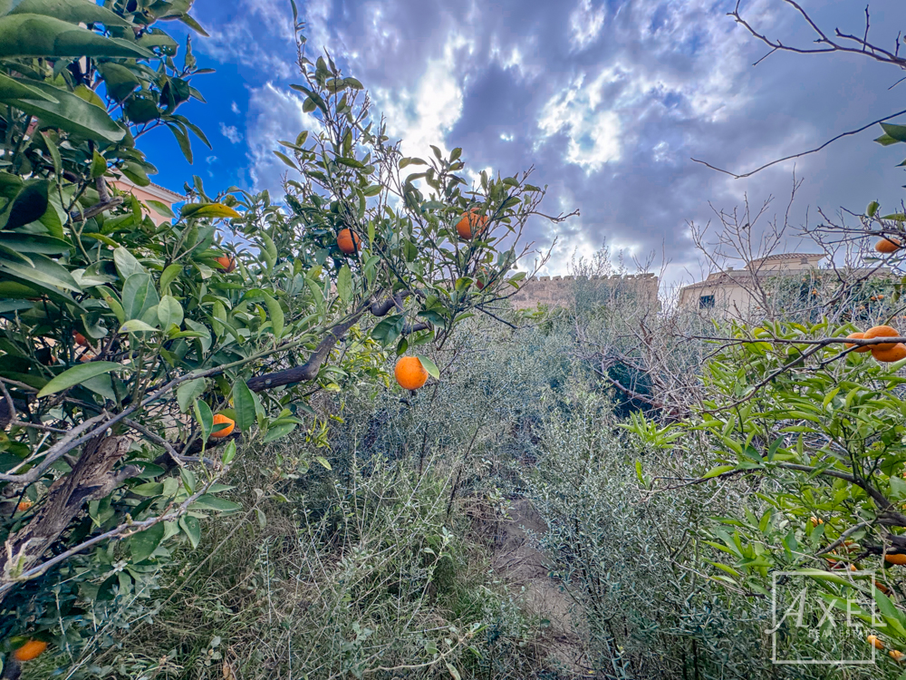 Zentrales Baugrundstück in Llucmajor – 250 m² bebaubar, 3 Etagen möglich